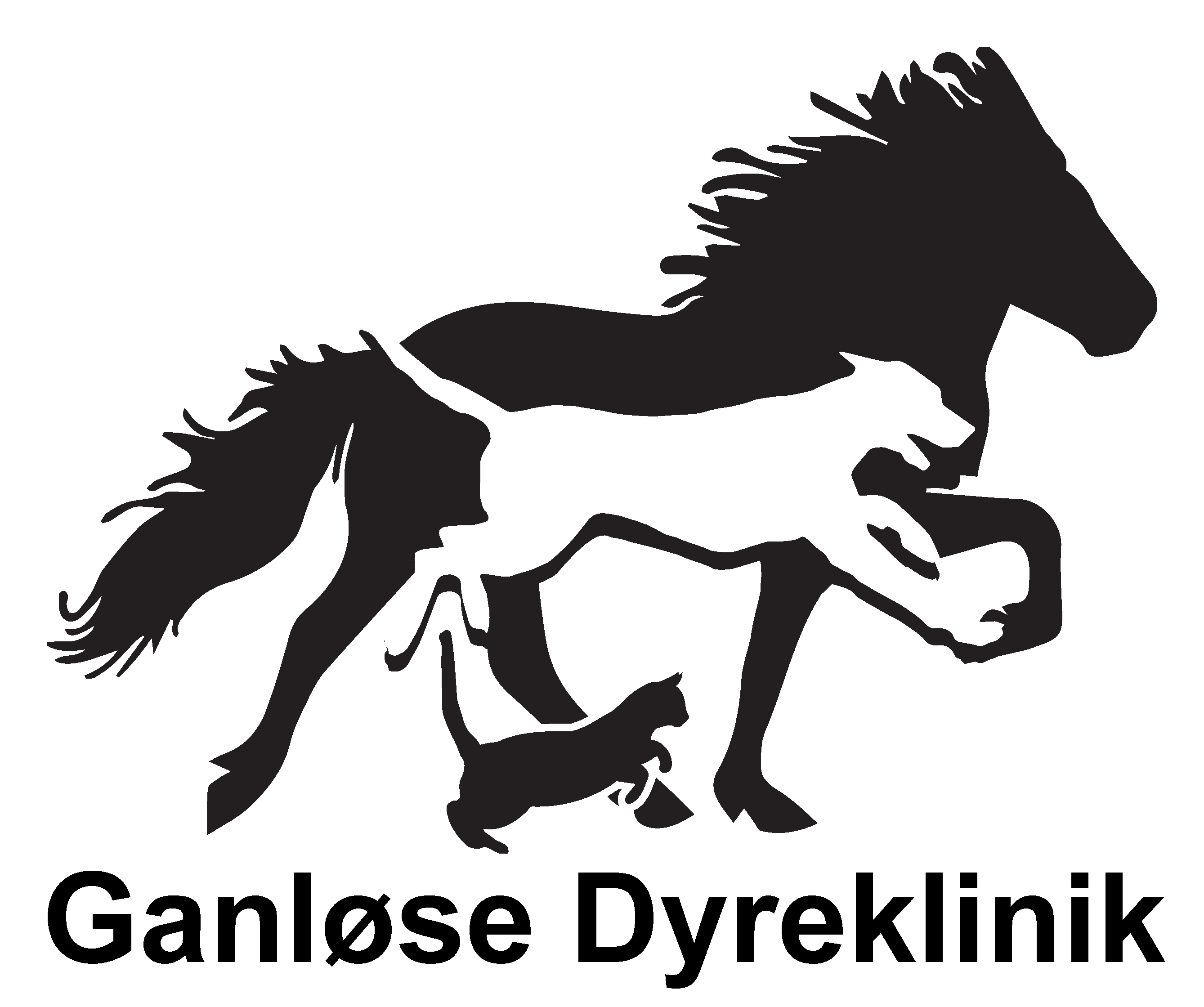 Dyrlæge med interesse for anæstesi - Ganløse