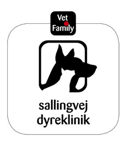 Dyrlæge med ekspertise i tandbehandling til Sallingvej Dyreklinik