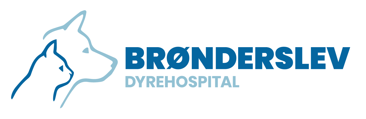 Dyrlæge søges til Brønderslev Dyrehospital