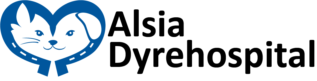 Alsia Dyrehospital søger smådyrsdyrlæge