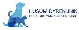 Husum Dyreklinik søger en dyrlæge