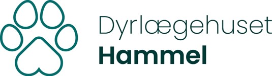 Vil du være med til at skabe en ny type dyreklinik, hvor overskud og energi følger med hjem?