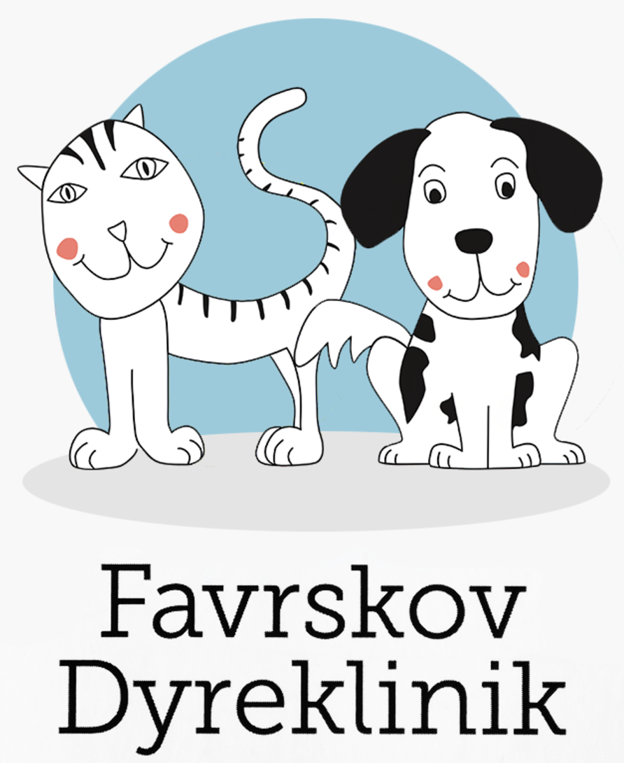 Medejer eller ansat? Hvad frister mest? 