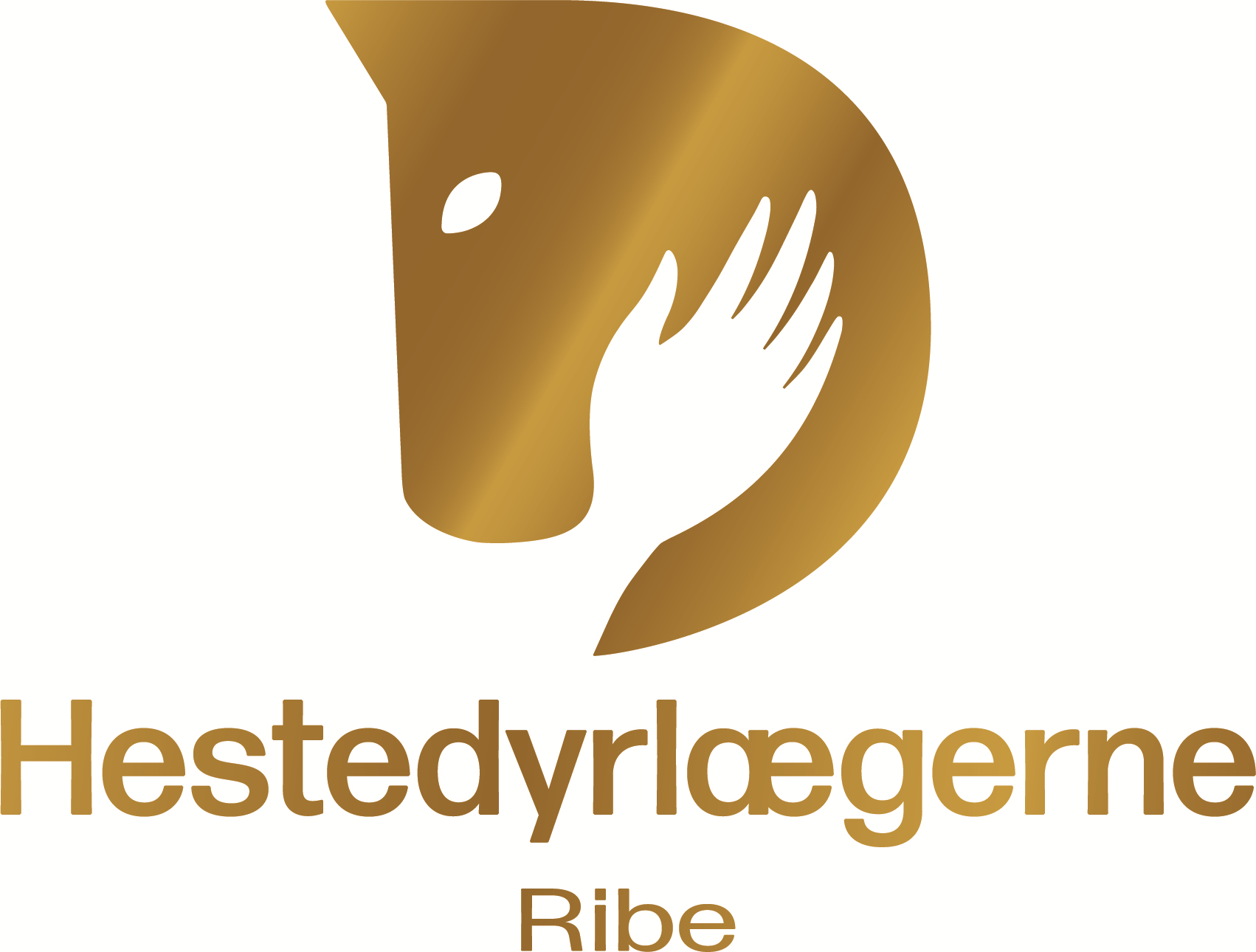 Dyrlæge med interesse for heste