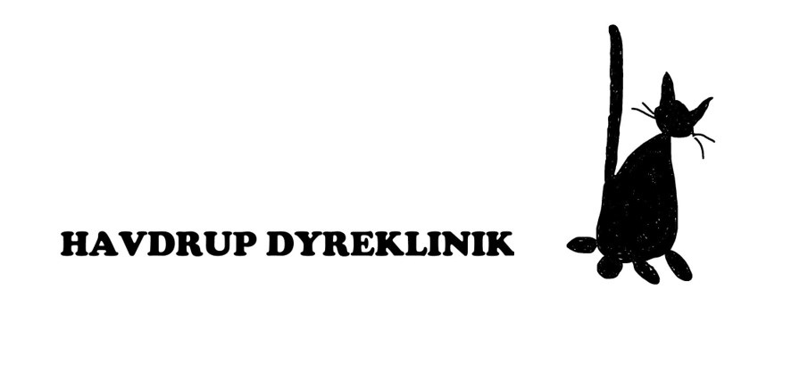 Havdrup Dyreklinik søger dyrlæge 