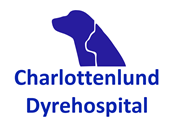 Charlottenlund Dyrehospital søger dyrlæge med erfaring i tandbehandling