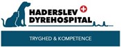 Smådyrsdyrlæge søges til fast stilling – med fokus på faglighed og arbejdsglæde