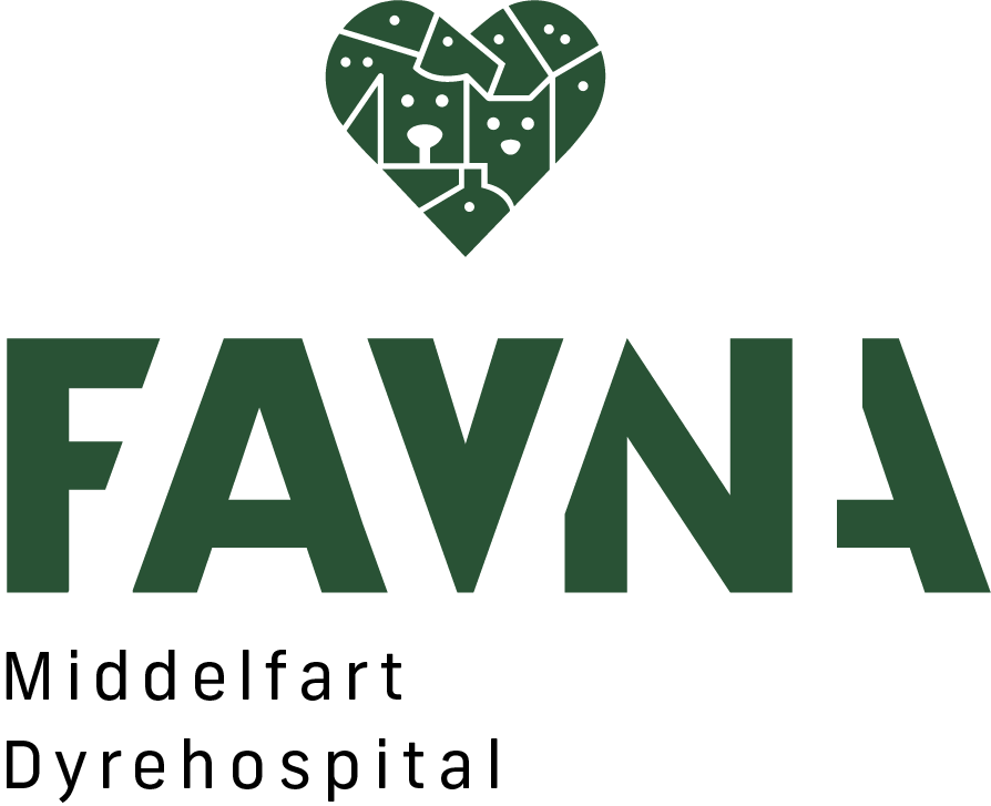 Skræddersyet stilling  - Dyrlæge søges til nyoprettet stilling på moderne dyrehospital i Middelfart 