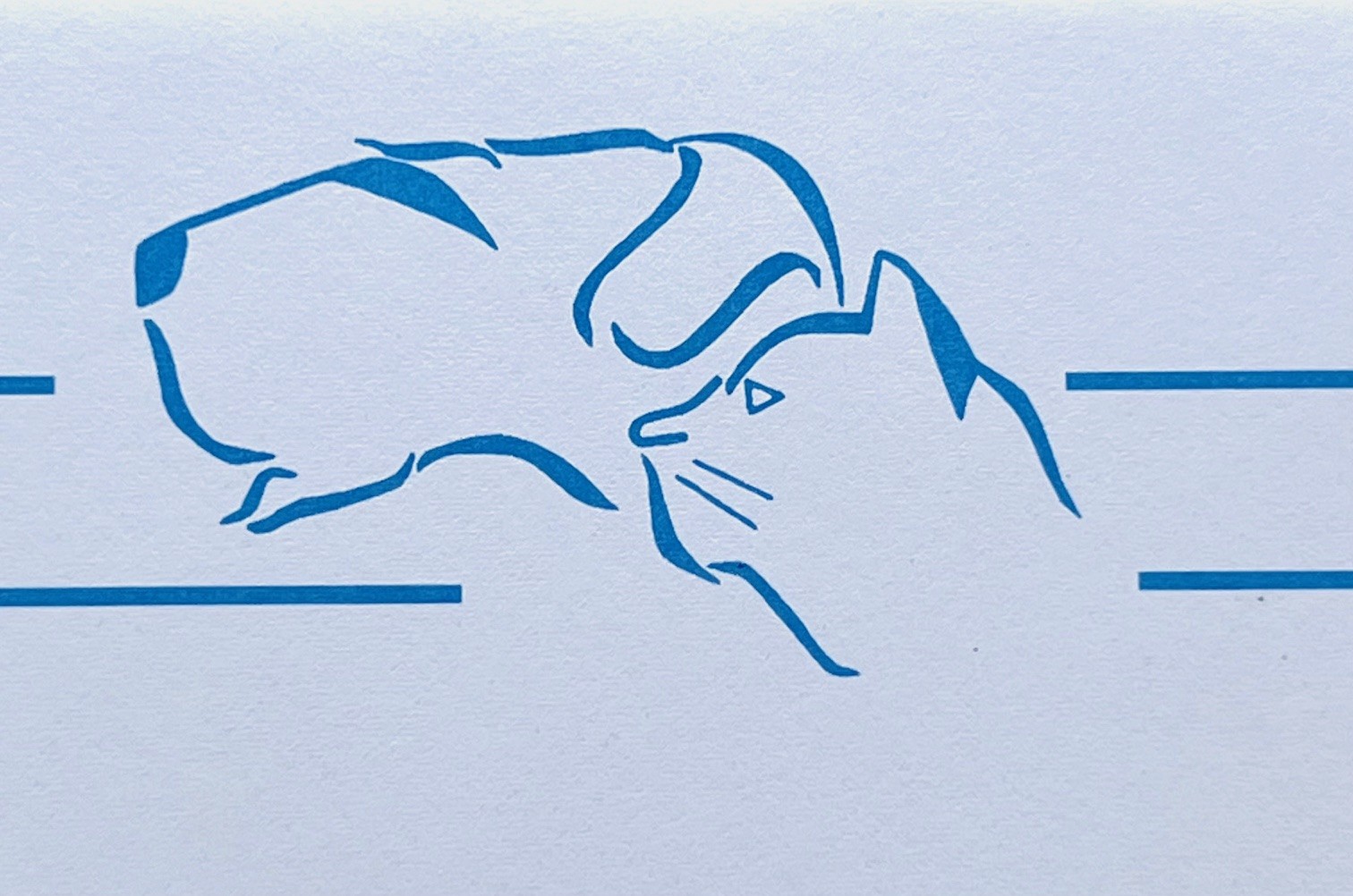 Smådyrsdyrlæge til travl smådyrspraksis i Nordsjælland