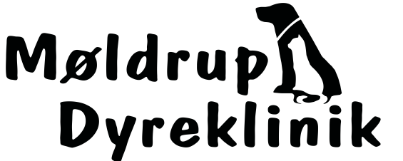 Møldrup Dyreklinik søger smådyrsdyrlæge i sommervikariat eller fast stilling