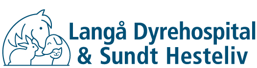 En sjælden mulighed hos Langå Dyrehospital & Sundt Hesteliv 