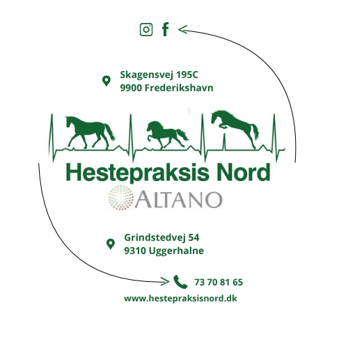 Hestedyrlæge til Hestepraksis Nord
