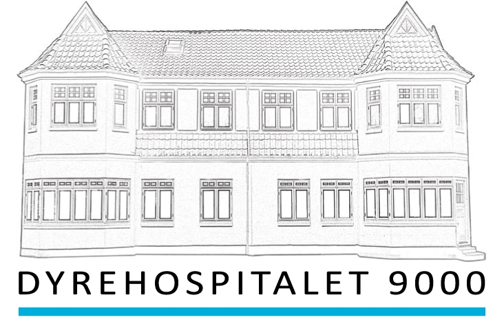 Vi søger en dyrlæge til en smådyrspraksis deltidsstilling i Aalborg (alternativt en fuldtidsstilling)