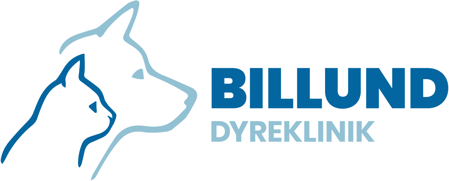 Dyrlæge søges til Billund Dyreklinik