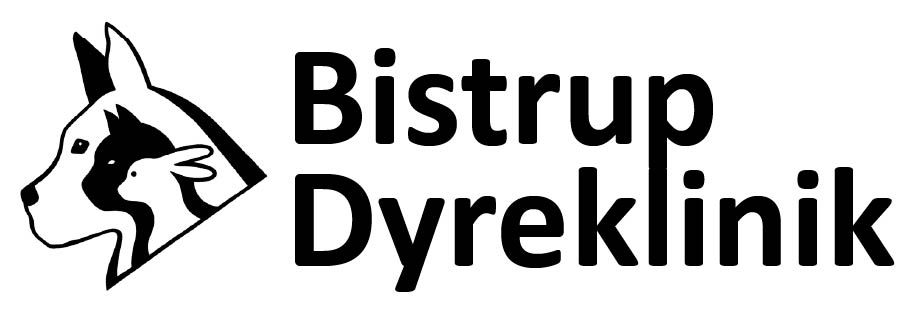 Bistrup Dyreklinik søger dyrlæge