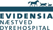Ambitiøse dyrlæger søges snarest muligt til Evidensia Næstved Dyrehospital