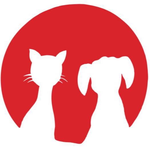 Dyrlæge søges til fast stilling på Solrød Dyreklinik