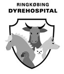 Ringkøbing Dyrehospital søger dyrlæge