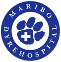 Maribo Dyrehospital søger dyrlæge med interesse for tænder