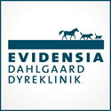 Erfaren dyrlæge søges til Evidensia Dahlgaard Dyreklinik