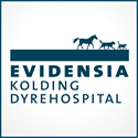 Ambitiøs dyrlæge gerne med erfaring i smådyrspraksis søges til vikariat med mulighed for forlængelse på Evidensia Kolding Dyrehospital