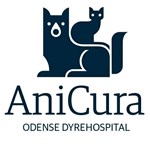 Yngre dyrlæge med ambitioner søges til AniCura Odense Dyrehospital