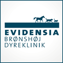 Ambitiøs dyrlæge søges til Evidensia Brønshøj Dyreklinik