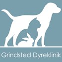 Grindsted Dyreklinik søger smådyrsdyrlæge