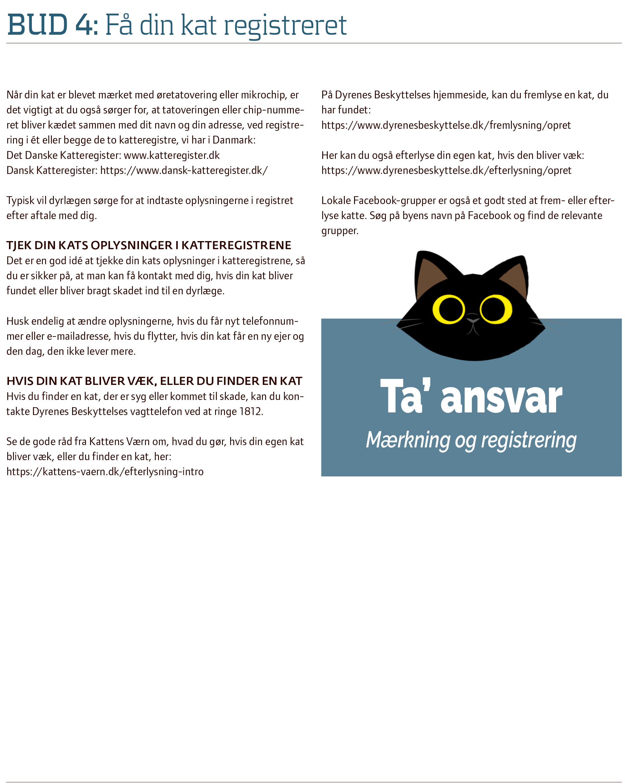 Tung lastbil Give Afsky Kattens Uge | Den Danske Dyrlægeforening