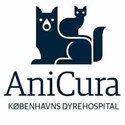 Dyrlæge til Intern Medicin hos AniCura Københavns Dyrehospital 