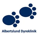 Albertslund Dyreklinik søger dyrlæge til fast stilling