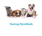 Smådyrsdyrlæge barselsvikariat (37 timer)