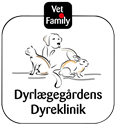 Dyrlæge til fastansættelse