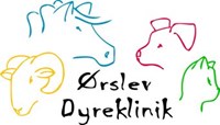 Vi har travlt og søger derfor en dyrlæge til Ørslev Dyreklinik