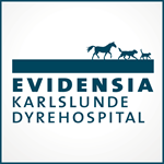 Ambitiøs intern mediciner til Evidensia Karlslunde Dyrehospital