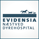 Ambitiøs dyrlæge søges snarest muligt til Evidensia Næstved Dyrehospital