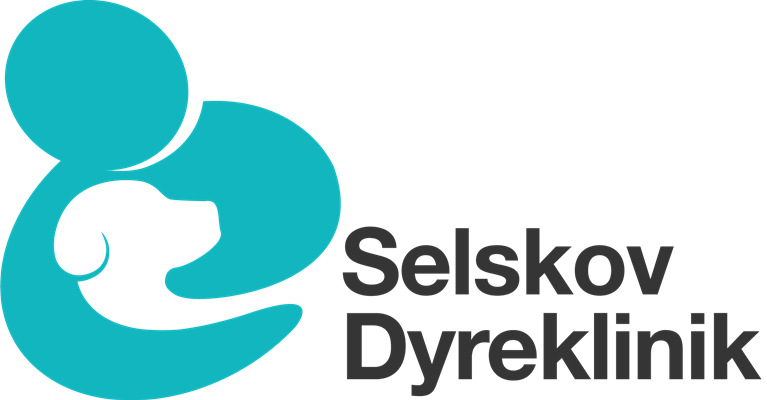 Selskov dyreklinik og Katteklinikken i Hillerød søger en dyrlæge til et vikariat indtil 30. september 2021