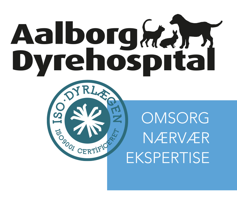 Er du vores nye dyrlæge? Aalborg Dyrehospital søger ny dyrlæge