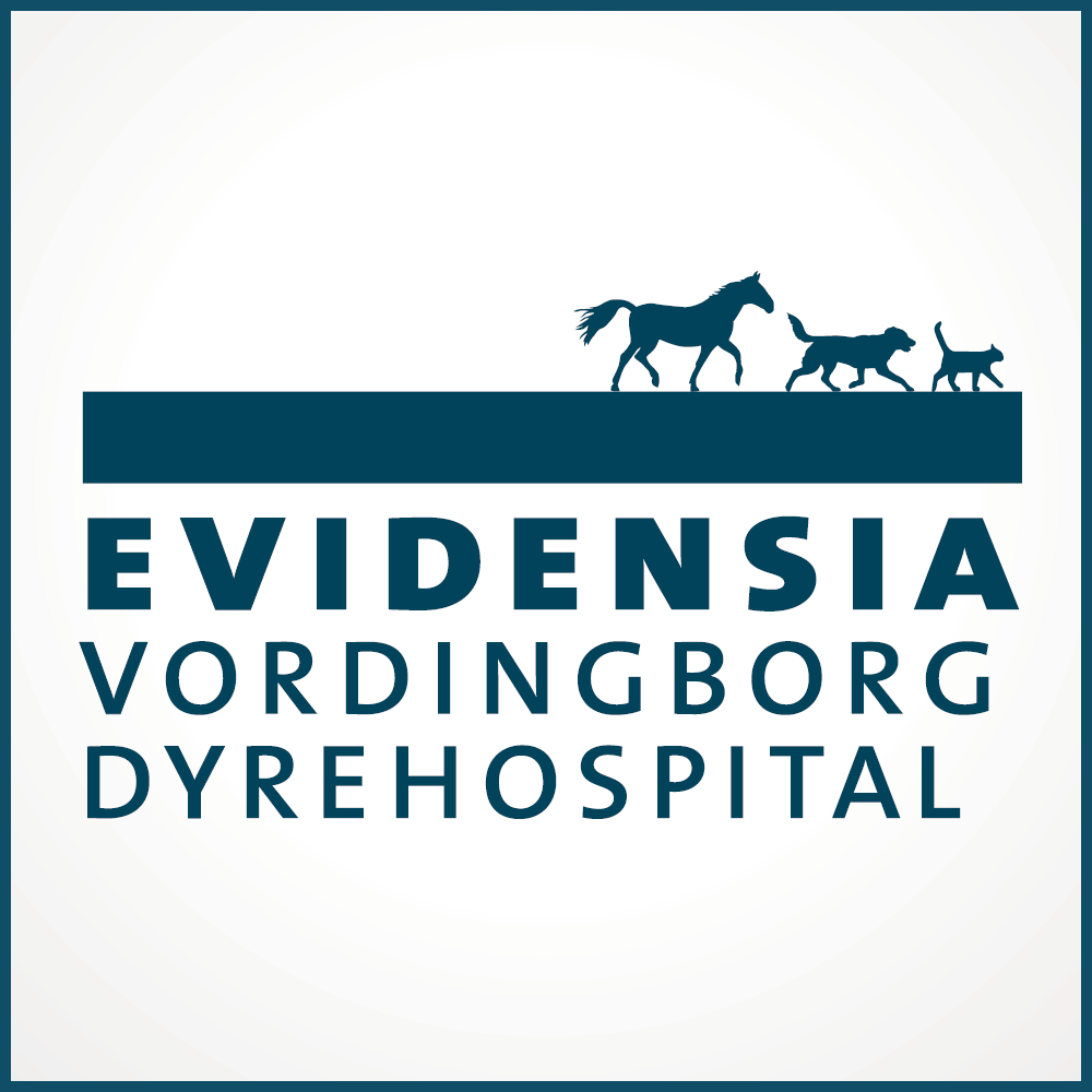 Dyrlæge til Evidensia Vordingborg Dyrehospital