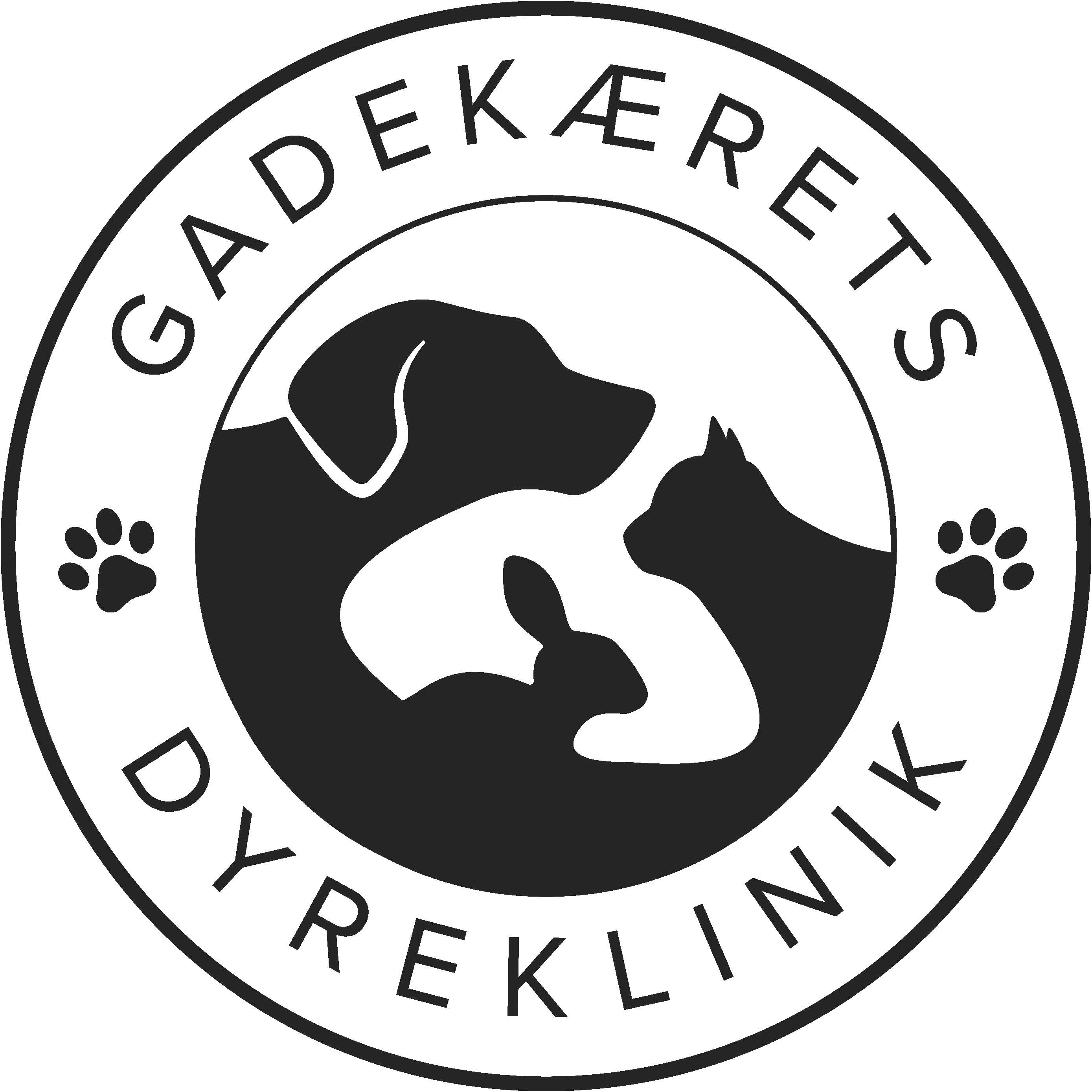 Vi søger efter vores kommende dyrlæger til vores rejse mod et bæredygtigt liv i klinisk praksis