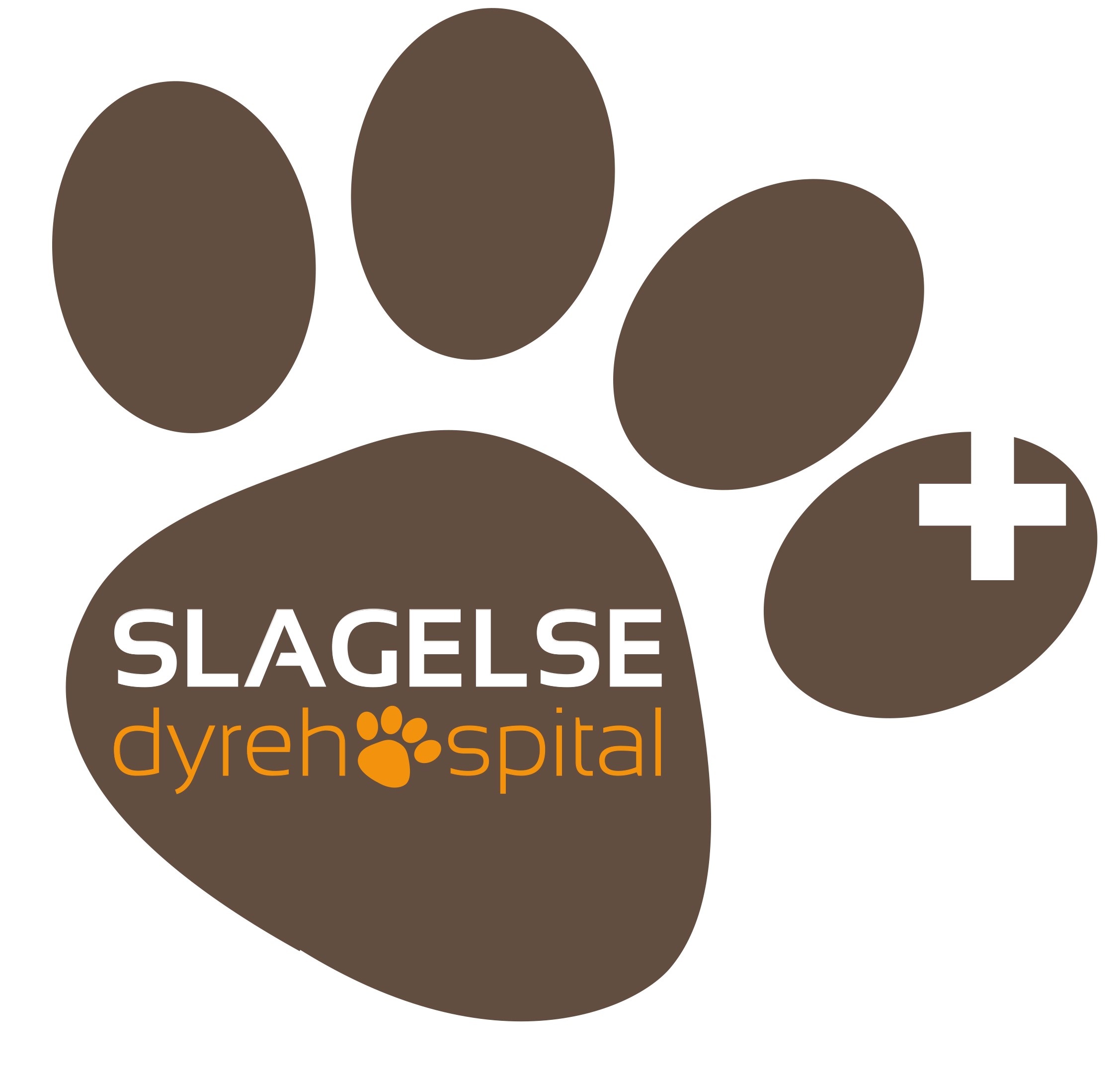 Vil du have en alsidig hverdag på et veldrevet smådyrshospital?