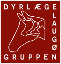 Nordsjælland kalder - Dyrlægegruppen Laugø søger dyrlæge til vores smådyrsklinik