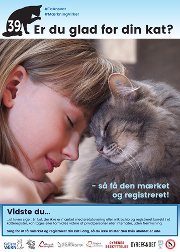 Kattens | Den Danske Dyrlægeforening