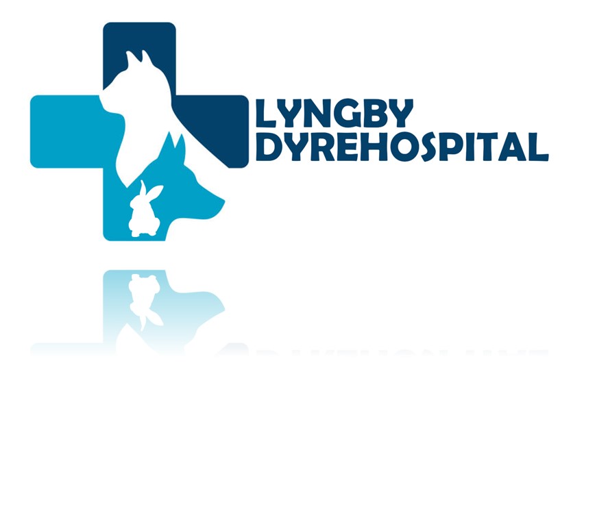 Danmarks ældste privatejede dyrehospital for smådyr, søger en dygtig dyrlæge