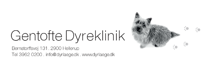 Gentofte Dyreklinik søger dyrlæge fra 1. juni
